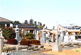 法雲寺（曹洞宗）