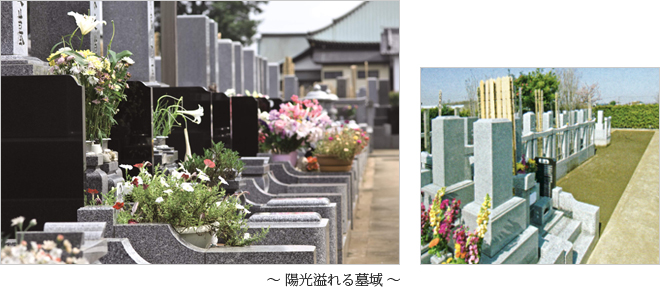 陽光溢れる墓域 画像:墓所